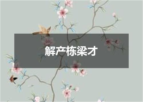 解产栋梁才