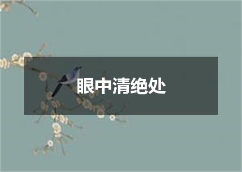 眼中清绝处