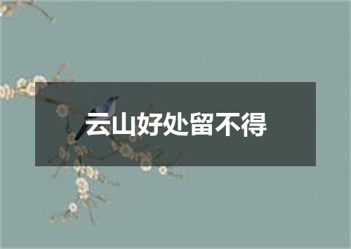 云山好处留不得