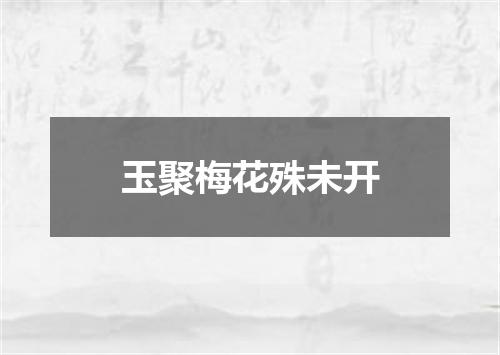 玉聚梅花殊未开