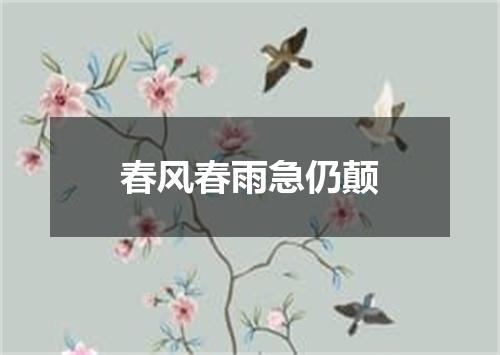 春风春雨急仍颠