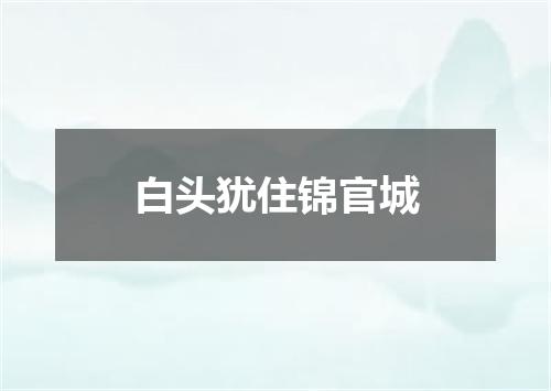 白头犹住锦官城