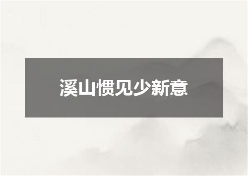 溪山惯见少新意