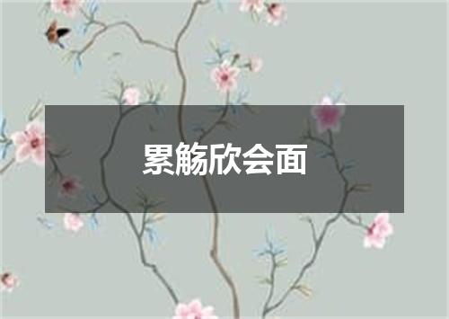 累觞欣会面