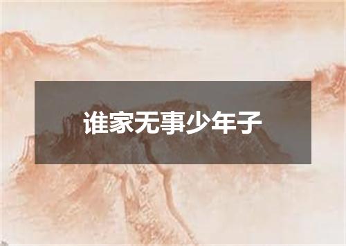 谁家无事少年子