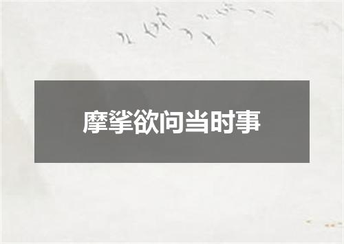 摩挲欲问当时事