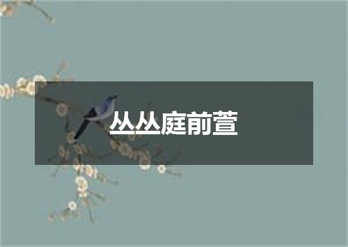 丛丛庭前萱