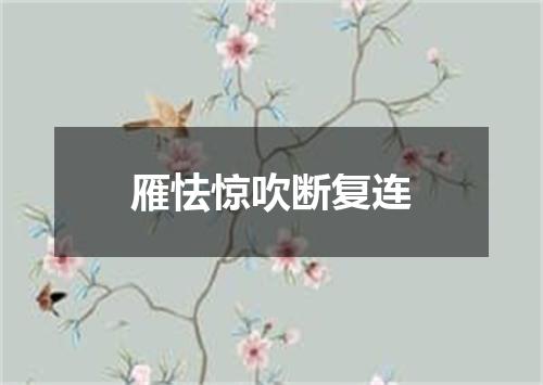 雁怯惊吹断复连