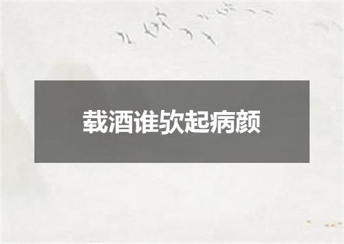 载酒谁欤起病颜