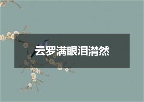 云罗满眼泪潸然