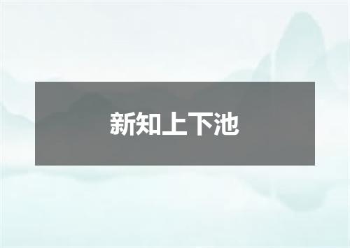 新知上下池