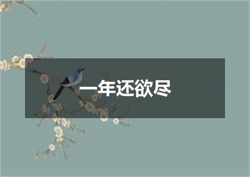 一年还欲尽