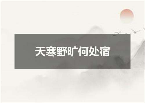 天寒野旷何处宿