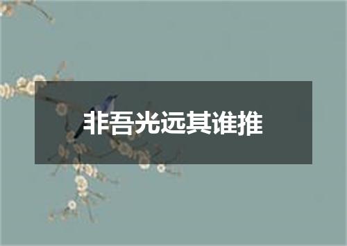非吾光远其谁推