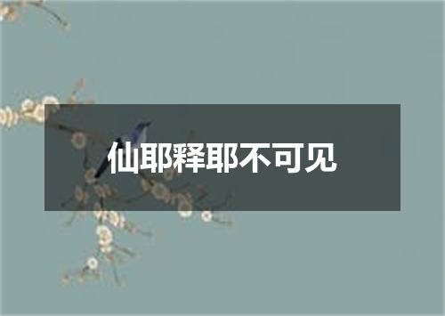仙耶释耶不可见