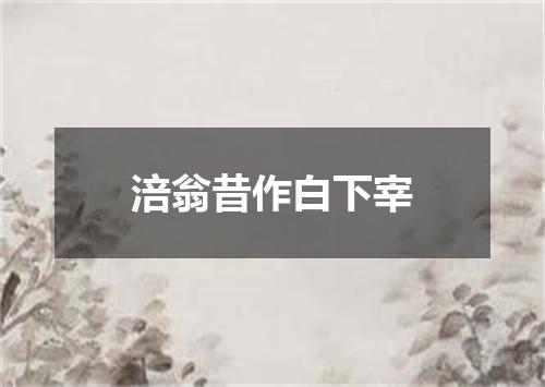 涪翁昔作白下宰