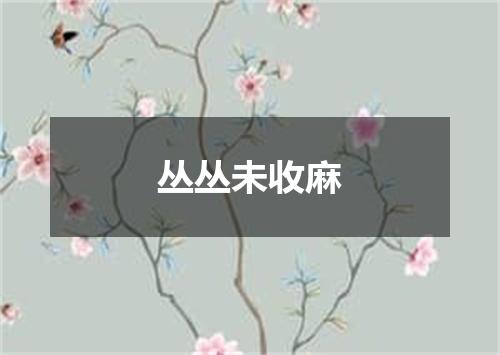 丛丛未收麻