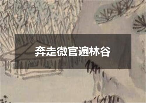 奔走微官遍林谷