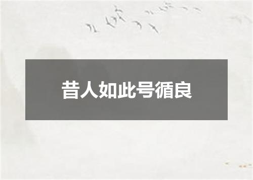 昔人如此号循良