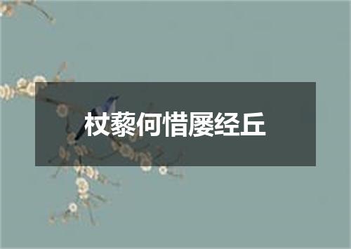 杖藜何惜屡经丘