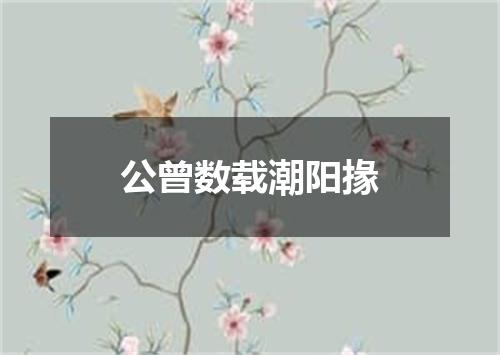 公曾数载潮阳掾