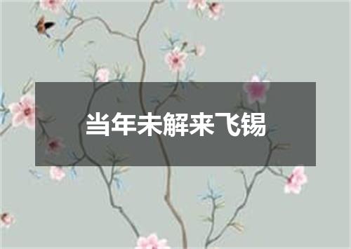当年未解来飞锡