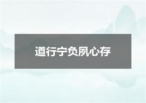 道行宁负夙心存