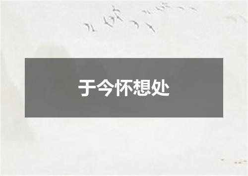 于今怀想处