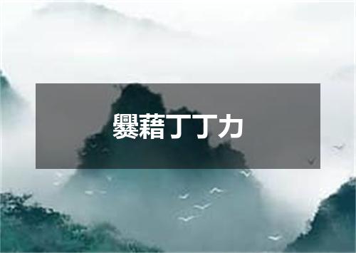 爨藉丁丁力