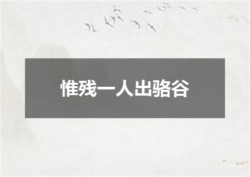 惟残一人出骆谷