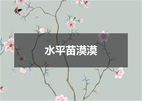 水平苗漠漠