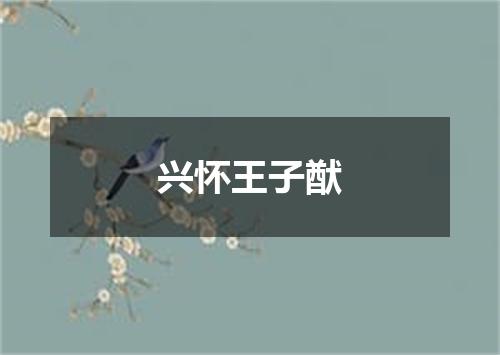 兴怀王子猷