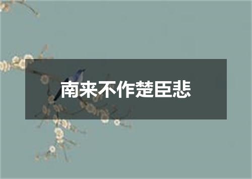 南来不作楚臣悲