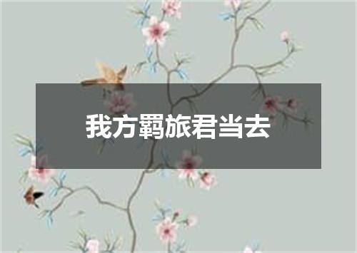 我方羁旅君当去