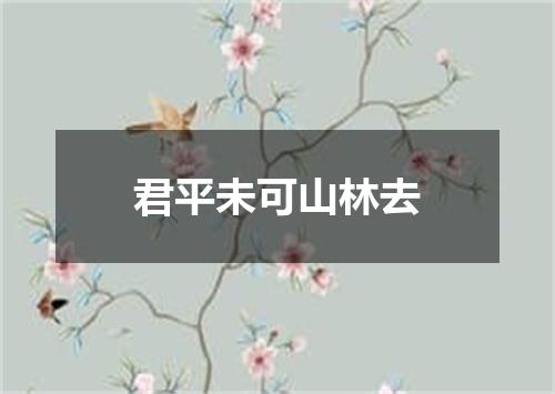 君平未可山林去
