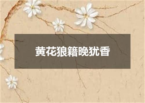 黄花狼籍晚犹香
