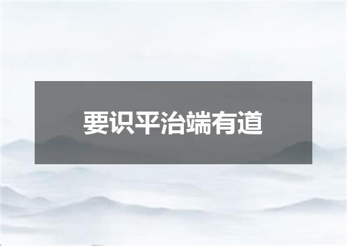 要识平治端有道
