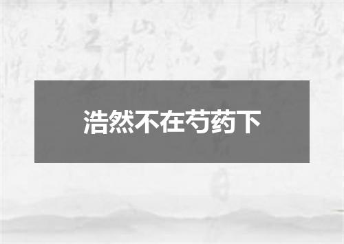 浩然不在芍药下