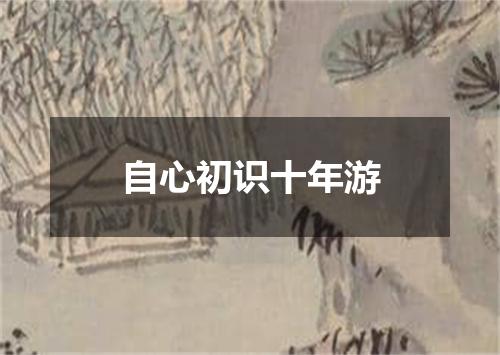自心初识十年游