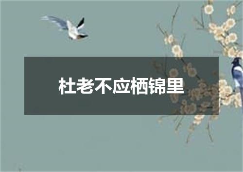 杜老不应栖锦里