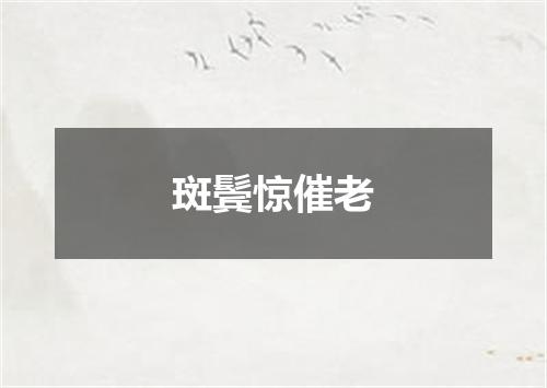 斑鬓惊催老