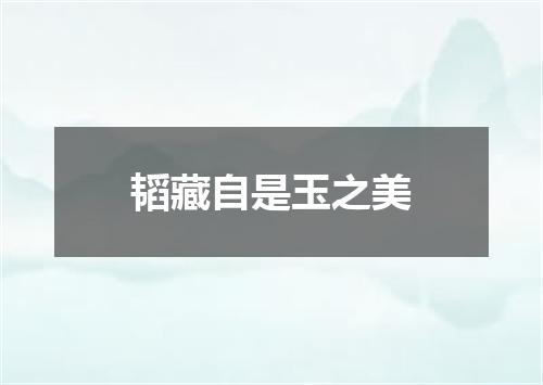 韬藏自是玉之美