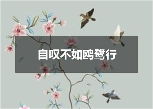 自叹不如鸥鹭行