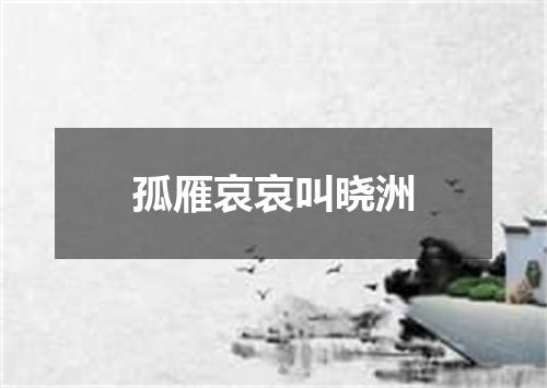 孤雁哀哀叫晓洲