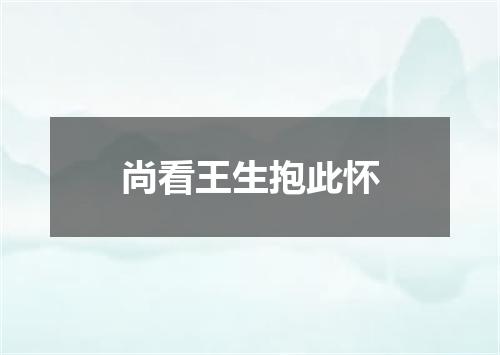 尚看王生抱此怀