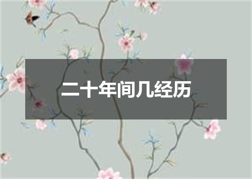 二十年间几经历