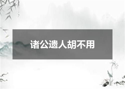 诸公遗人胡不用