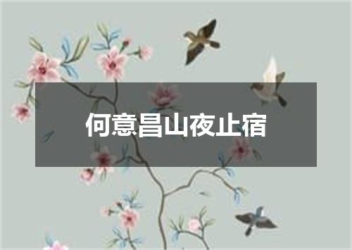 何意昌山夜止宿
