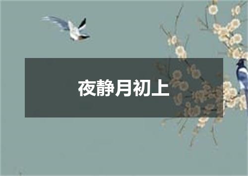 夜静月初上