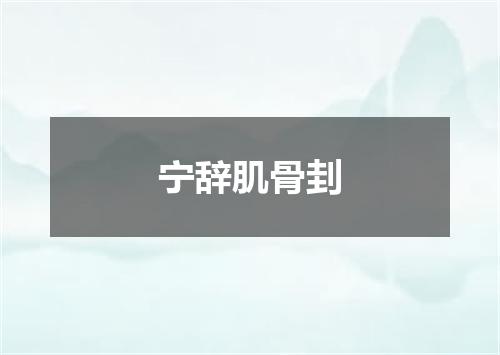宁辞肌骨刲